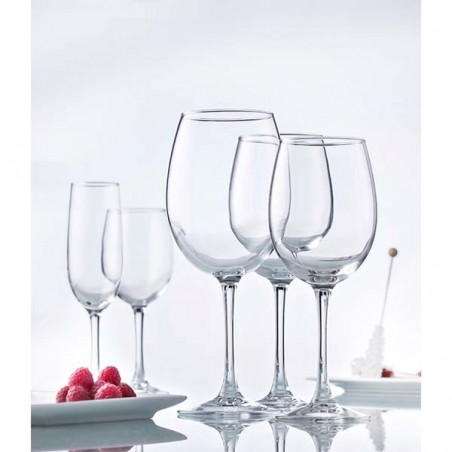 6 VERRES A PIEDS PINOT 35cl