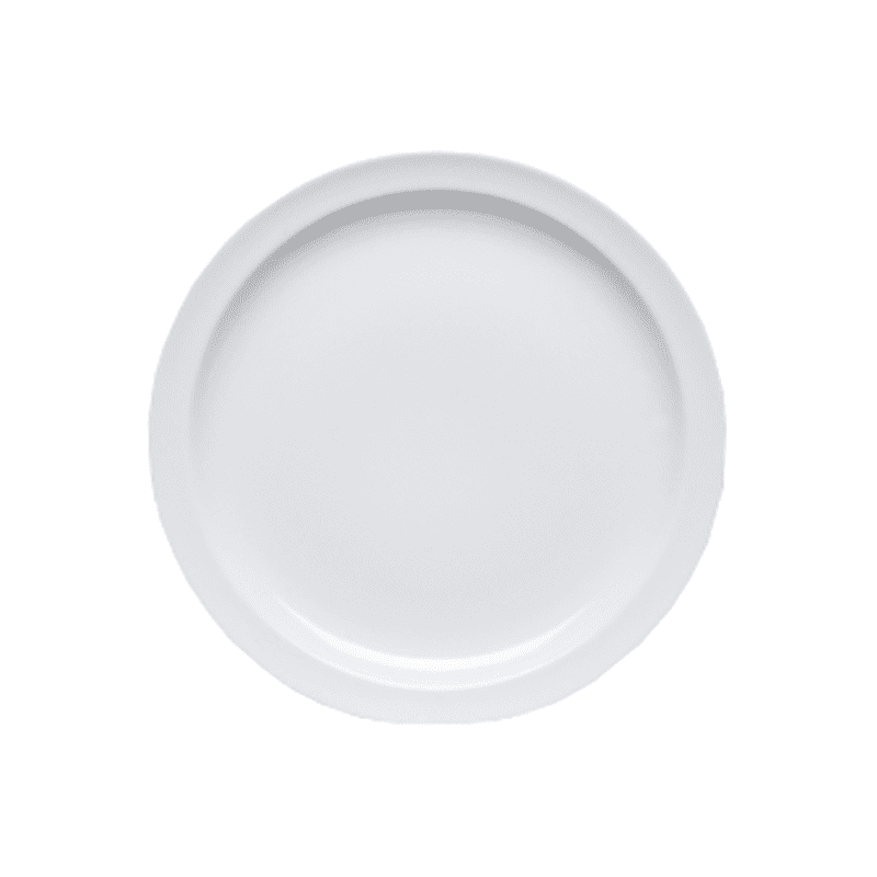 4 ASSIETTES PLATES 25CM MYRTILLE