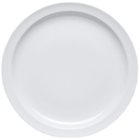 4 ASSIETTES PLATES 25CM MYRTILLE